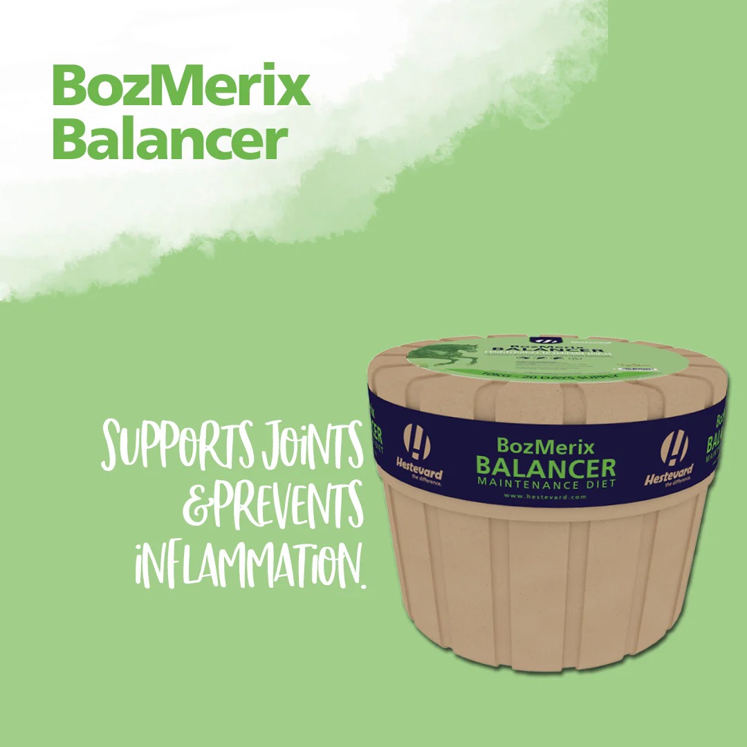 Hestevard BozMerix Balancer - Image 2