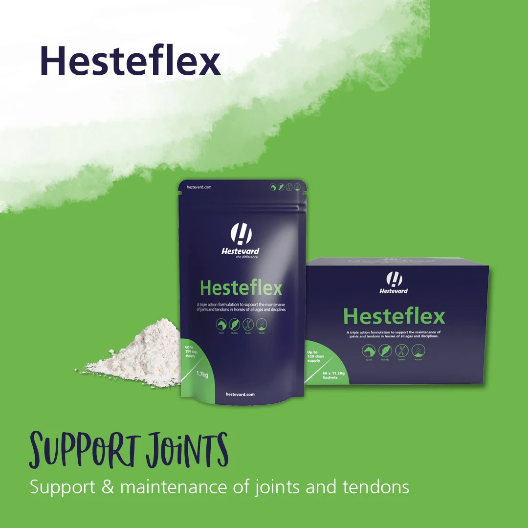 Hesteflex 60 sachets - Image 2